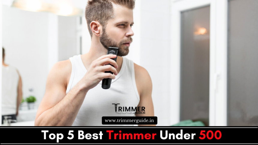 Trimmer Under 500